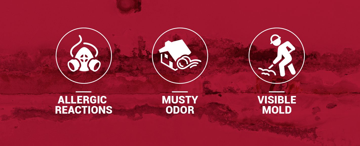 Mold Remediation Services Advanced Mold Assistance Offered