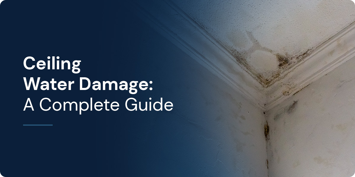 Dripping Disaster: A Guide to Ceiling Water Damage