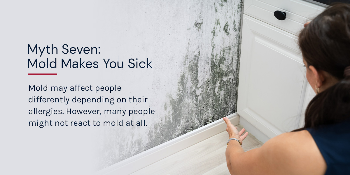 10 Mold Myths Debunking With Your Restoration Provider
